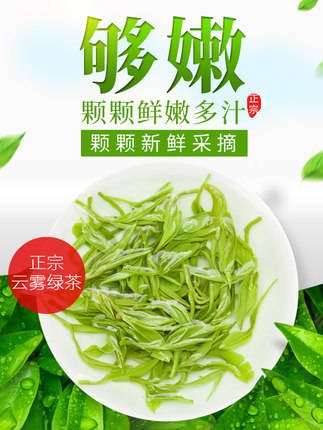 清承堂绿茶2018新茶叶毛尖茶日照充足散装袋装云雾茶浓香型